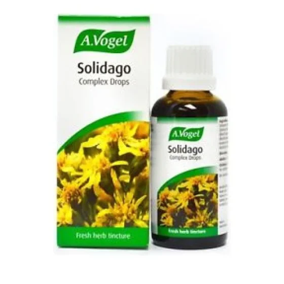 A.Vogel Solidago Complex Drops, Για Υγιές Ουροποιητικό 50ml